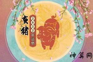 猪年在2022年运势(猪年在2022年运势如何)