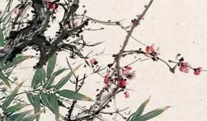 房屋风水好(房屋风水好不好要看哪些地方)