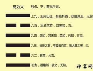 离为火运势(离为火运势)