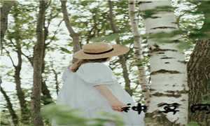阴宅镇破大全(阴宅镇破大全完整版)