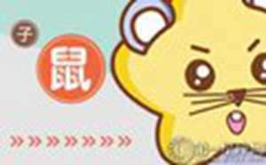 第一运程2019年属鼠每月运势-神算网(属鼠2019年每月运势及运程)