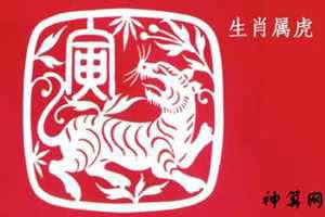 虎人十年运势(虎人十年运势运程)