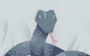 梦见好多蛇是啥意思(女人梦见好多蛇代表啥)