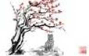 属虎今日2022年运势偏财运(属虎今日运势偏财运2021)