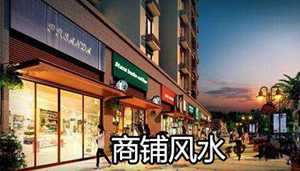 店面风水树怎么摆(店面风水树怎么摆放)