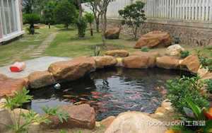 鱼池风水如何旺财(鱼池风水如何旺财旺运)