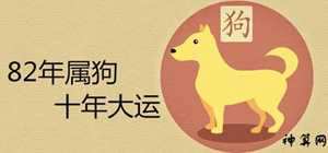 82年狗40岁后十年大运运程(82年狗40岁后十年大运运程运势分析)