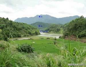 墓地风水宝地图片(墓地风水宝地图片大全)