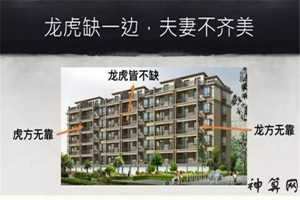 什么风水克虎(风水上什么克虎)
