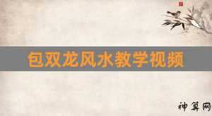 双龙风水学教程14(双龙风水布局是怎样)