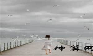 孕妇梦到金钱龟(孕妇梦到金钱龟预示着什么)