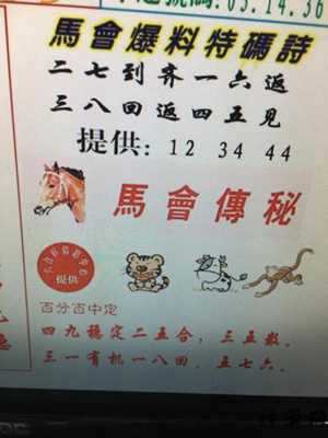 睁字猜生肖(睁是什么生肖)