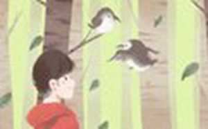 家居养鱼的风水布局-神算网(家庭养鱼风水方位都有哪些)