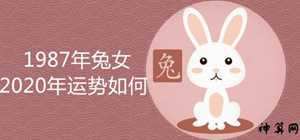 2017年属兔5月运势(2017年属兔的运势)