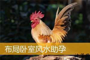 风水助孕法(风水助孕有妙招)