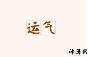 如何看运气(如何看运气好不好)