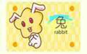 什么属相不适合戴玉