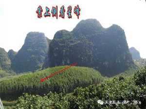 广西来宾风水流题(广西来宾风水留题)