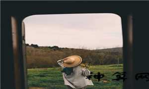 2019属兔人全年运势女(2019属兔人全年运势女性)