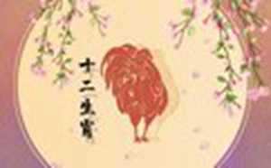81年属鸡2023年运势及运程婚姻(81年属鸡2023年运势及运程婚姻怎么样)