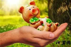 属猪在2017年每月运势(属猪在2017年每月运势如何)