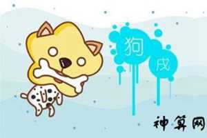 94属狗的鸡年运势(94属狗的鸡年运势如何)