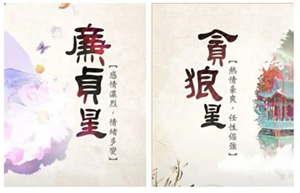 廉贞贪狼巳亥同度意味着什么