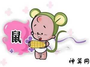 2017肖鼠每月的运势