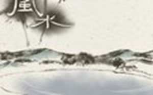 家里种什么树对风水好(家里种什么树对风水好又招财)