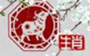 属牛今年财运(属牛今年财运怎么样2023)