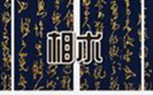 从政的女人面相(从政的女人面相特征)