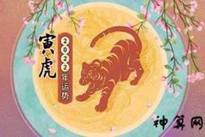 2017年虎桃花运势如何(2017年虎桃花运势如何看)