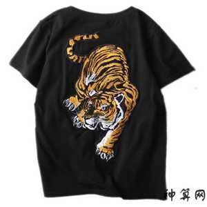带老虎衣服的风水(带老虎衣服的风水寓意)