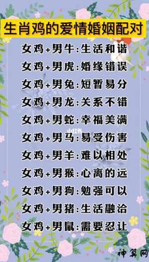 女鸡和男牛的属相运势(女鸡和男牛的属相运势如何)