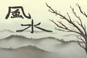 旺人旺财的好宅子(旺人旺财的好宅子图片)