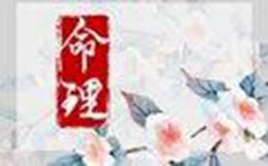 十神在四柱干支详解
