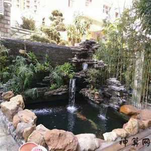园林水池风水(园林水池风水布局图)