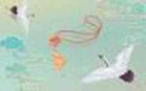 怎么化解犯太岁(怎么化解犯太岁)