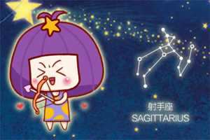 射手座爱上了双子-神算网(射手座爱上双子座)