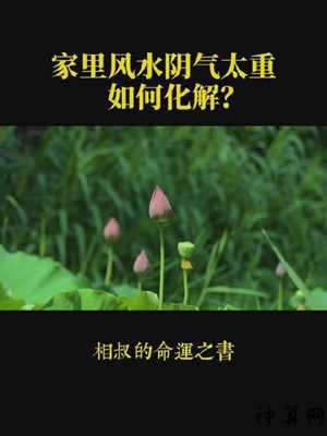 风水上的阴气重(风水上阴气重有什么地方)