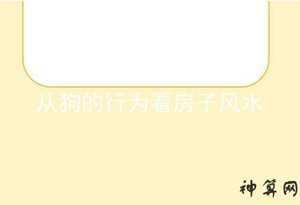 狗与房子风水(狗与房子风水关系)