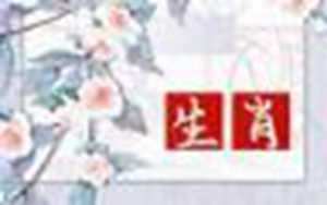 六个肖五连肖复式多少组(6个肖复式五连肖有多少组)