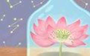 面诊风水解说(面诊风水解说视频)