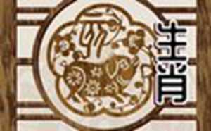 2021年属猪女带什么饰品旺财(2021年属猪女带什么饰品旺财运)