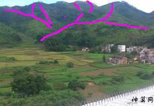 阴宅风水狮子地图片(阴宅风水对子孙后代的影响)