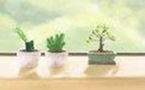 池州风水故事(池州风水格局)