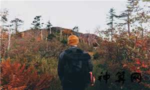 奇门风水布局(奇门风水布局法)