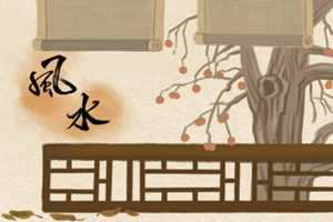 门市布局风水(门市布局风水学图解)
