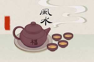 家中风水如何旺财植物(家中风水如何旺财植物摆放)