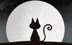 女人梦见被猫咬手出血了是什么意思